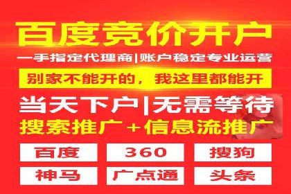 SEO关键词优化：某品牌逆袭的案例解析